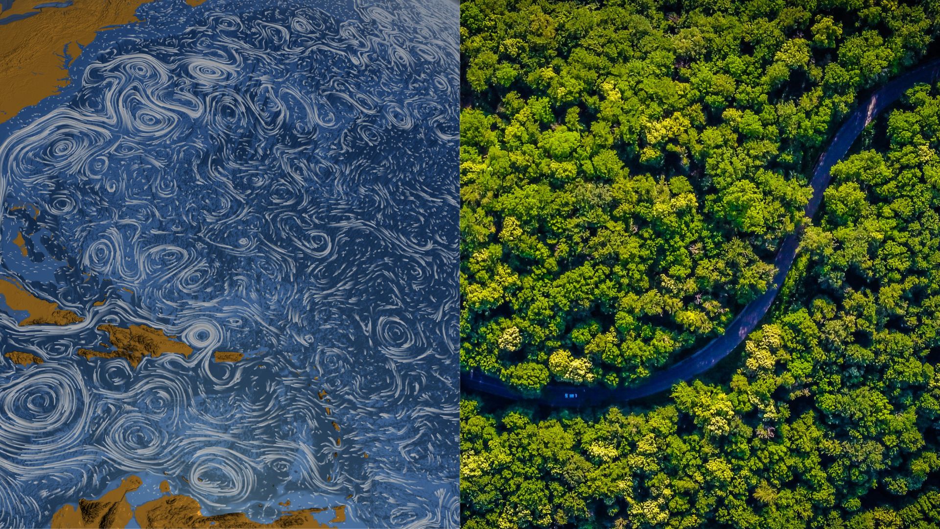 AMOC and Amazon rainforest